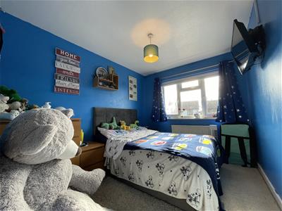 Picture 15